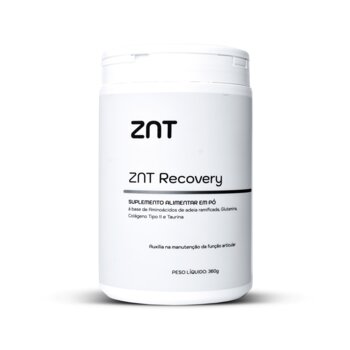 ZNT Recovery